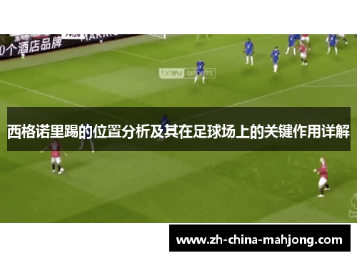 西格诺里踢的位置分析及其在足球场上的关键作用详解 西格诺里踢的位置分析及其在足球场上的关键作用详解