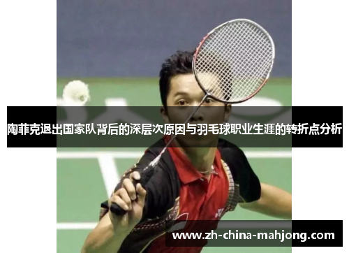 陶菲克退出国家队背后的深层次原因与羽毛球职业生涯的转折点分析