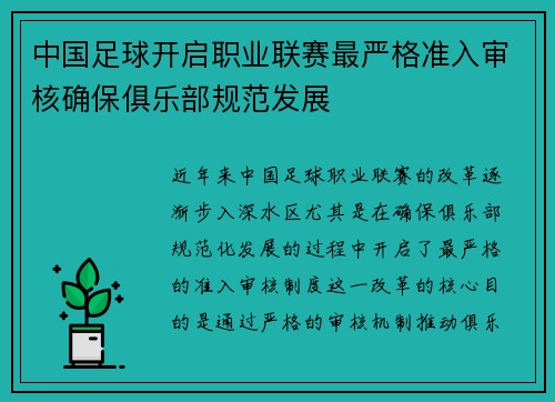 中国足球开启职业联赛最严格准入审核确保俱乐部规范发展